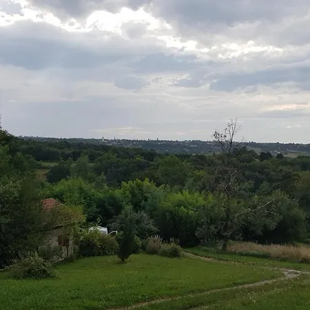 Les Chalets Du Vic-bilh Castetpugon